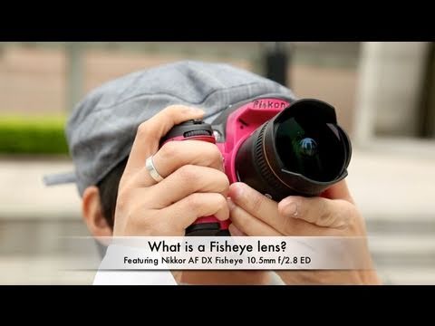 What is a Fisheye lens? (feat. Nikkor AF DX Fisheye 10.5mm f/2.8 ED