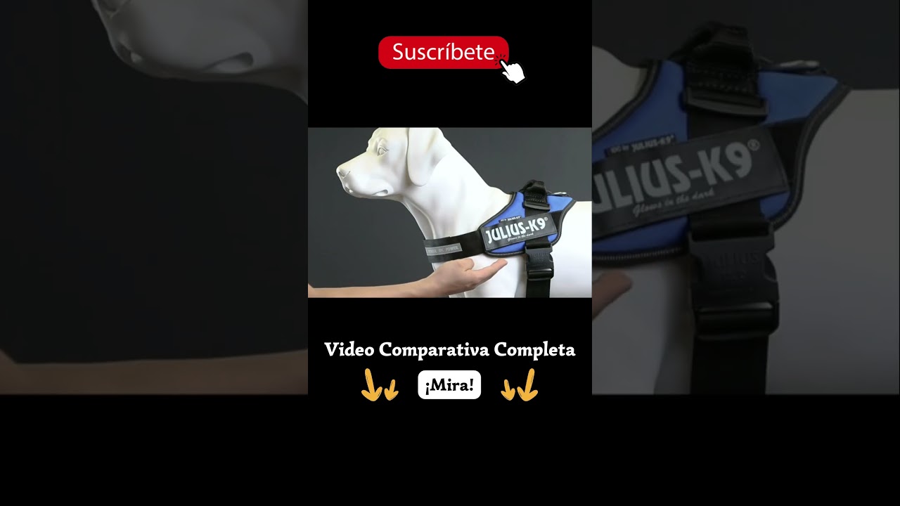 Review ✅ Arnés para Perro Julius K9 Amazon 