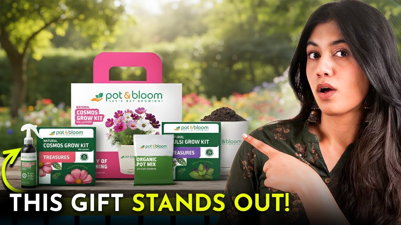 Your Clients Will LOVE This Gift | Corporate Gifting