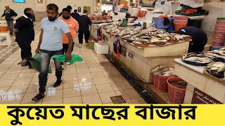 কুয়েত মাছের বাজার  | Kuwait Fish Market Sharq