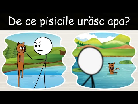 Video: De Ce Pisicile Urăsc Apa? - Mituri Despre Animale De Companie: Pisicile Urăsc Cu Adevărat Apa?