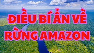 Điều bí ẩn của rừng Amazon - Khám Phá Thế Giới Động Vật