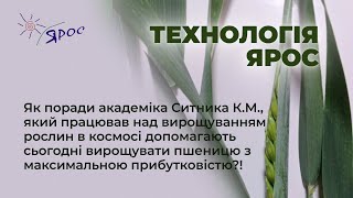 Технологія ЯРОС. Як поради академіка Ситника К.М. допомагають досягати максимальної прибутковості