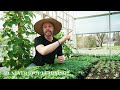 30 ESSENTIAL Organic Farming Techniques For Small Farms & Market Gardens