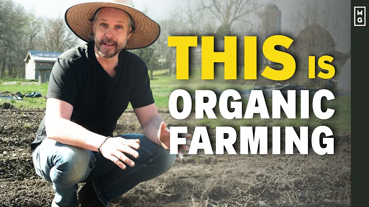 30 ESSENTIAL Organic Farming Techniques For Small Farms & Market Gardens thumbnail