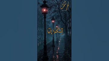 و من آياته أن خلق لكم من أنفسكم أزواجا لتسكنوا إليها،سورة الروم،سعد الغامدي.