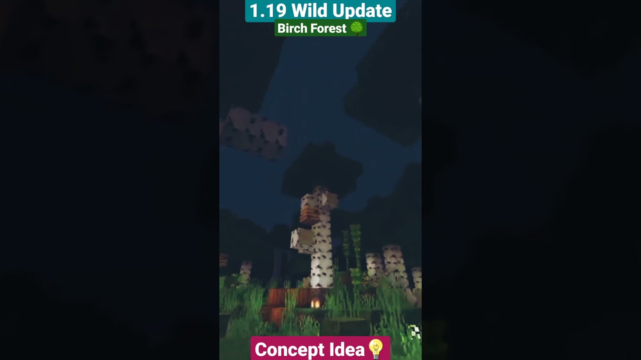 1.19 Wild Update | Birch Forest Concept IDEA 💡🌲🍃🍂 