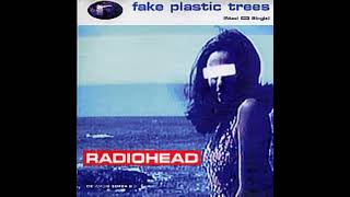 Radiohead Fake Plastic Trees Backing Track For Guitar With Vocals