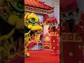 atraksi barongsai lion dance barongsai lion dance di jCM