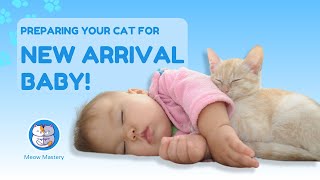 Fur Baby and Human Baby: Preparing Your Cat for the New Arrival! by Meow Mastery 8 views 1 month ago 5 minutes, 2 seconds