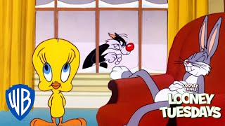 Looney Tuesday | Where Are You Christmas?  | Looney Tunes | WB Kids