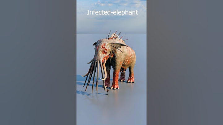Elephant vs Monster Elephant Size Comparison 🐘⚔️👹   #SizeComparison #monster #sizecomparison
