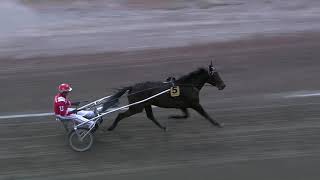 Åbytravet 20200408 Värmning 10