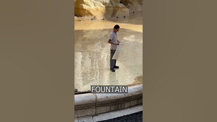 The fountain in Rome was cleaned: 100 thousand euros in COINS