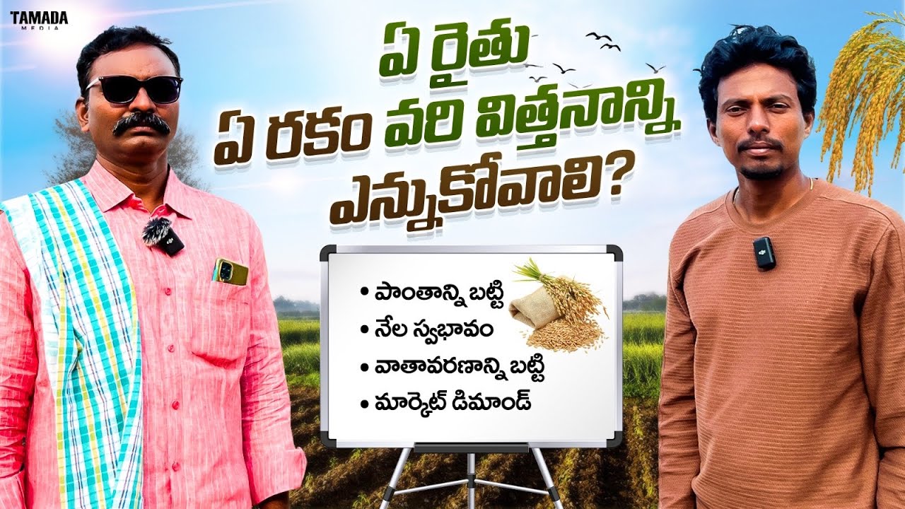 Seed Selection Guide for Farmers|ఏ రైతు,ఏ విత్తనాన్ని ఎన్నుకోవాలి|విత్తనాన్ని ఎన్నుకునే విధానం|#agri