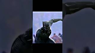 Black Panther - Scene Pack - 4K 1080P Ultra Hd