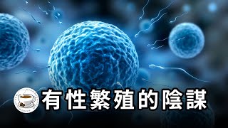 壽命為何是有限的人類為何無法成為神性別其實是上帝對人類施加的詛咒