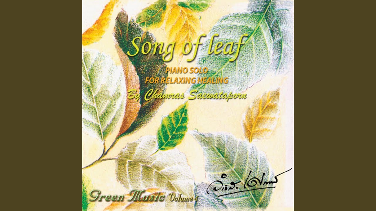 Song of Leaf YouTube