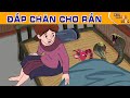 ĐẮP CHĂN CHO RẮN - Truyện cổ tích - Phim hoạt hình - Quà tặng cuộc sống