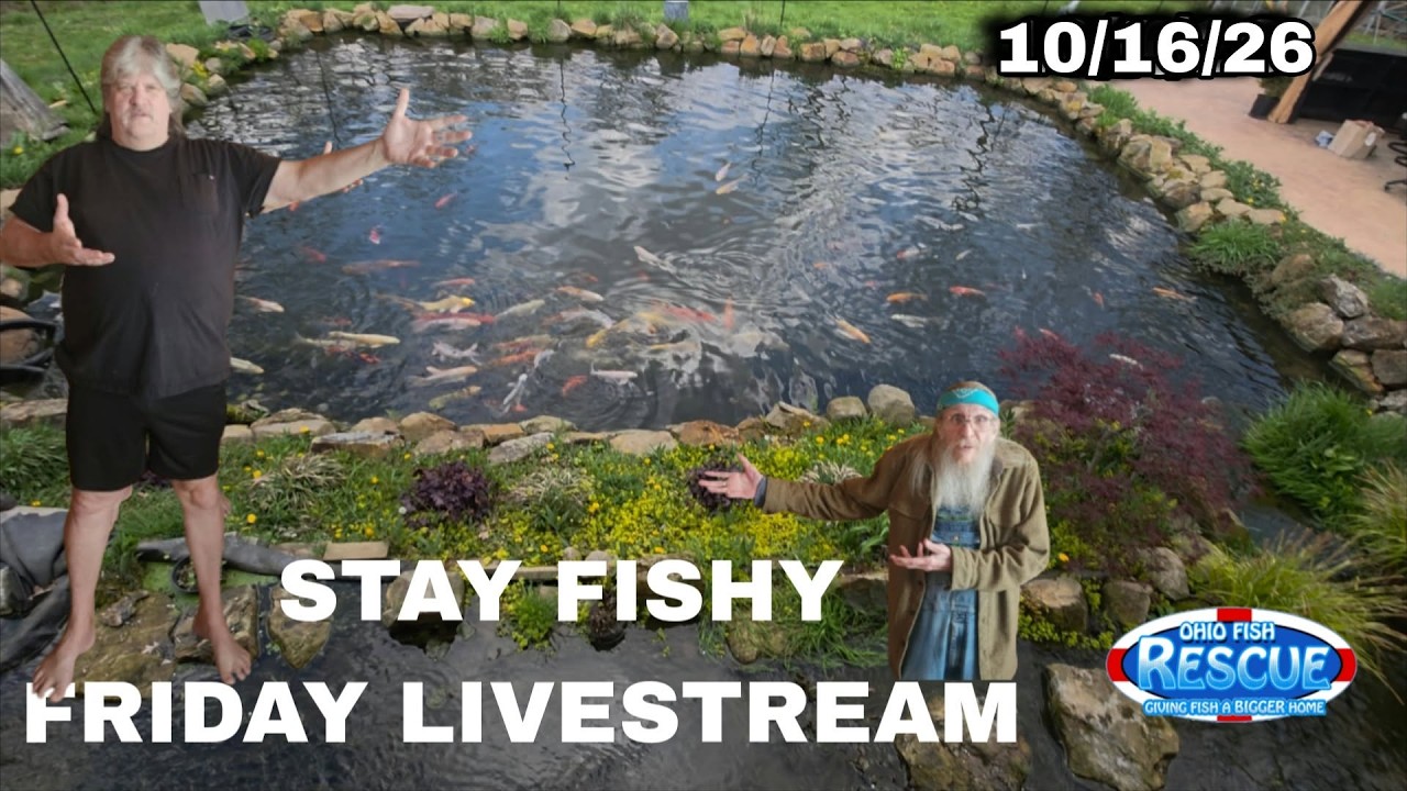 10/16/26 stay fishy livestream