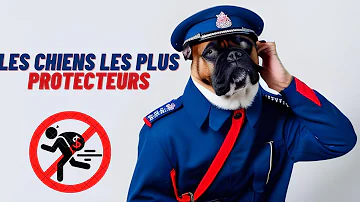 Quel est le chien le plus protecteur