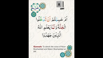 Learn Tajweed of Surah Al-Imran 141-142 (آيات الحفظ) سورة العمران - تعلم التجويد - Rules + Practice
