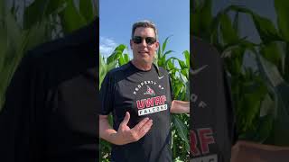 7.8.20 East Agronomy Update