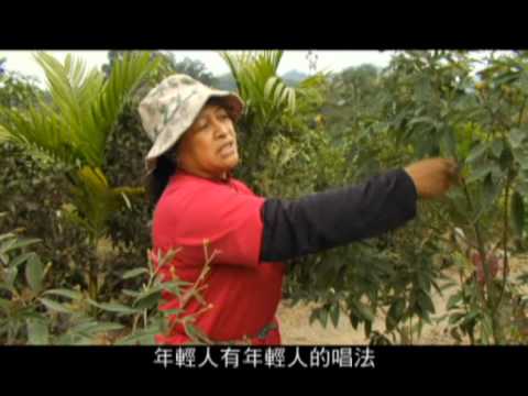 不能遺忘的歌_出擊 Sun Eagle(2分鐘)