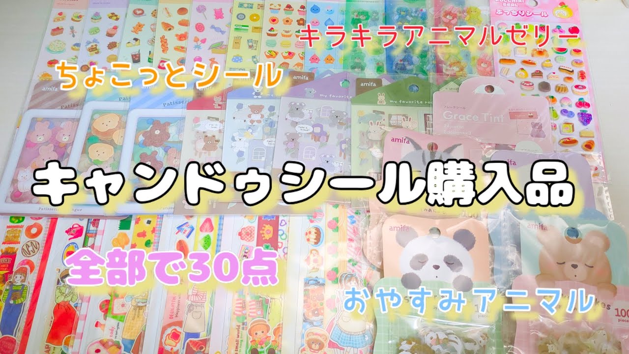 キャンドゥシール購入品🛒✨