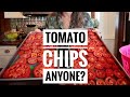 The Joy of SUMMER - All YEAR Long | Dried Tomato Chips 🍅
