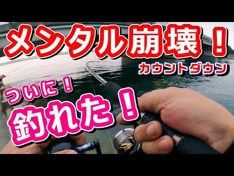 メンタル崩壊寸前 ついに釣れた！ 大阪湾 人工島 タコ【釣り】