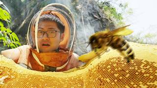 1天被蜇50次？养蜂人都在做什么？