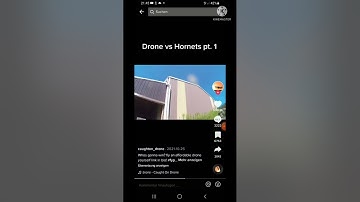 drone destroys hornet nest