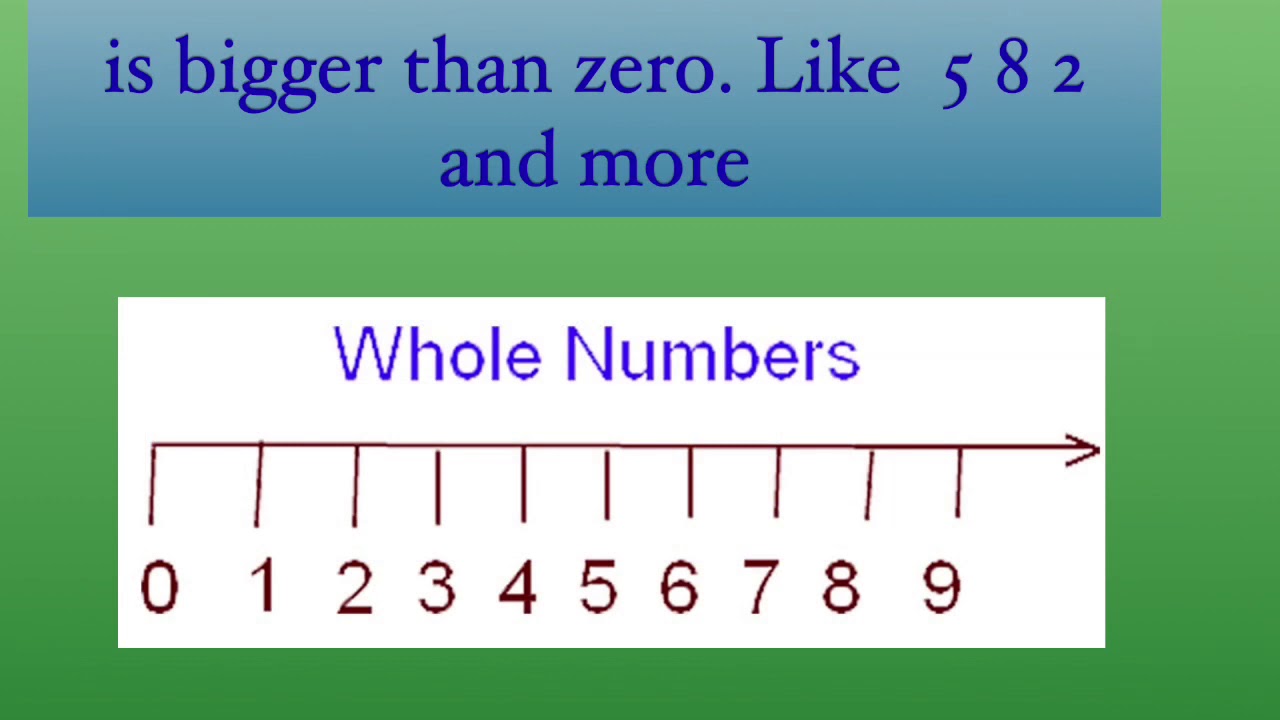 Whole Numbers - YouTube