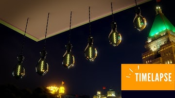 Light Bulb - TIMELAPSE