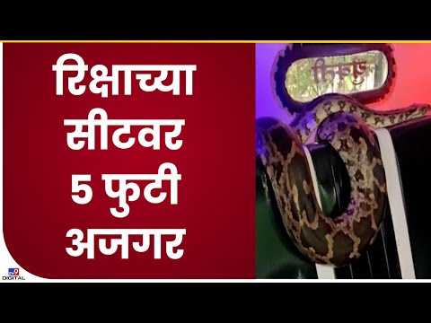 Python Rescue | टिटवळ्यात रिक्षात 5 फुटी अजगर आढळल्याने खळबळ-tv9