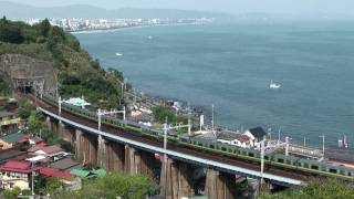 E233系（東海道本線）（2009年4月撮影）