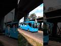 Autobuses en la TAPO #shorts  #autobús #buses