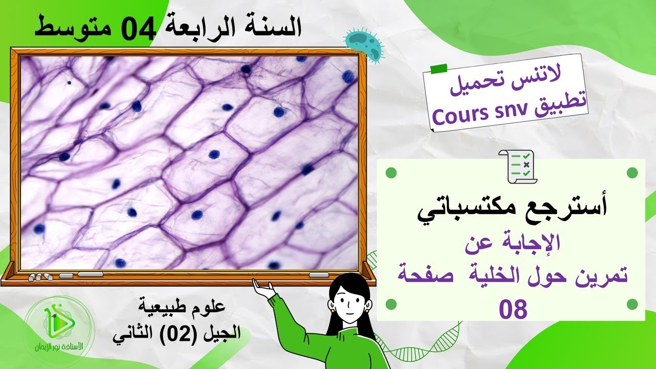 حلول أسئلة أسترجع مكتسباتي صفحة 08 الجزء 04 علوم طبيعية سنة 04 متوسط