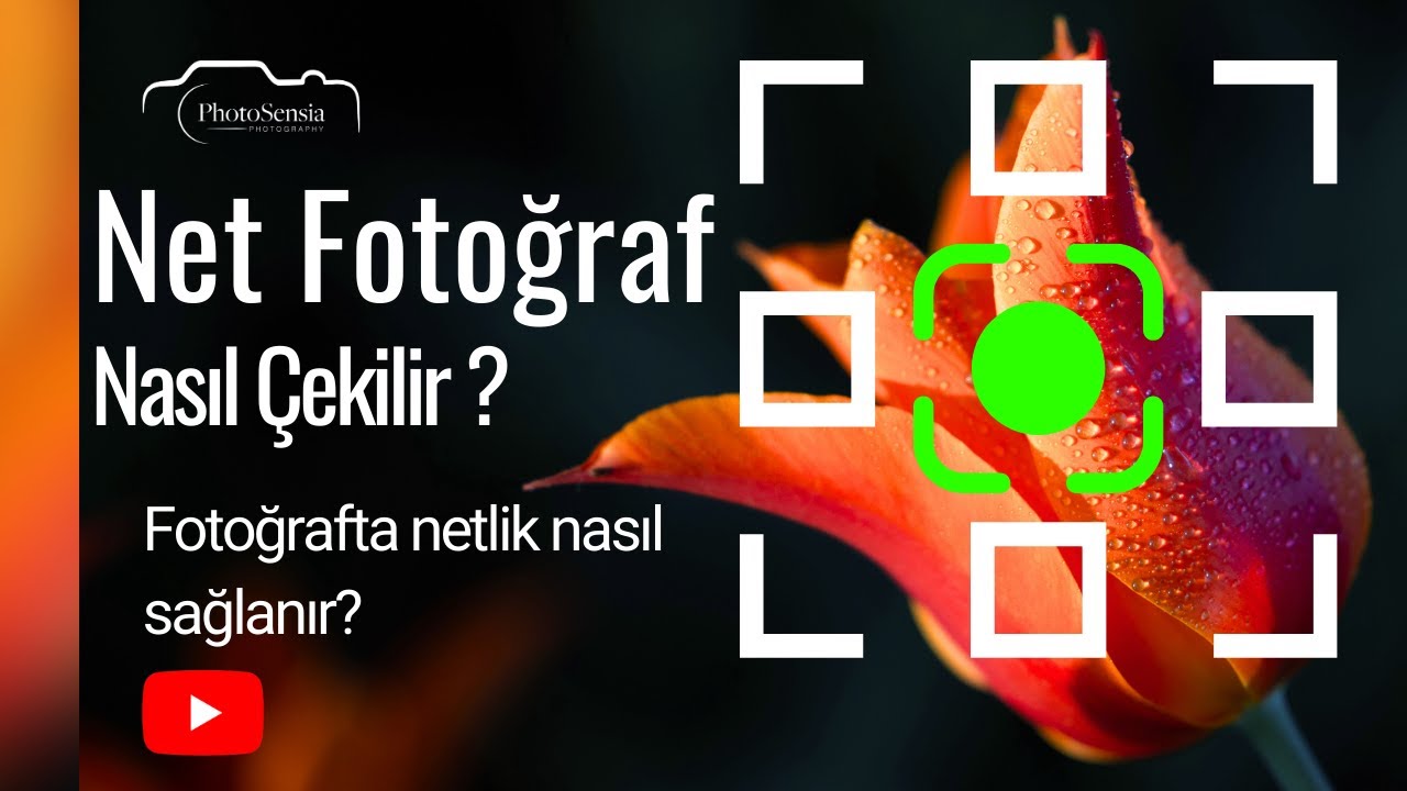 Net Fotoğraf Çekme İpuçları - Fotoğrafta Netlik Nasıl Sağlanır?