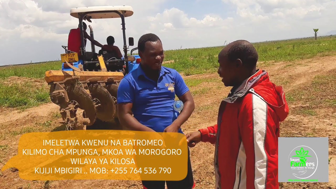 FULSA KULIMO CHA MPUNGA MAANDALIZI NA CHANGAMOTO ZAKE