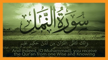 سورة النمل | جمال الدين عباس | طيبة النشر | The Ant