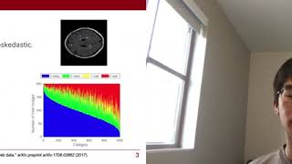 BayLearn 2020: Heteroskedastic and Imbalanced Deep Learning with Adaptive Regularization