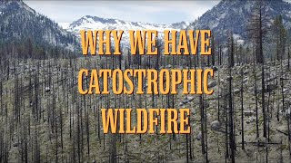Why we have wildfires - How suppression creates catastrophic fire: Fire and Forest Health Part 2