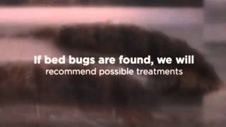 Troy, MI Exterminator for Bed Bugs - Hi-Tech Pest Control