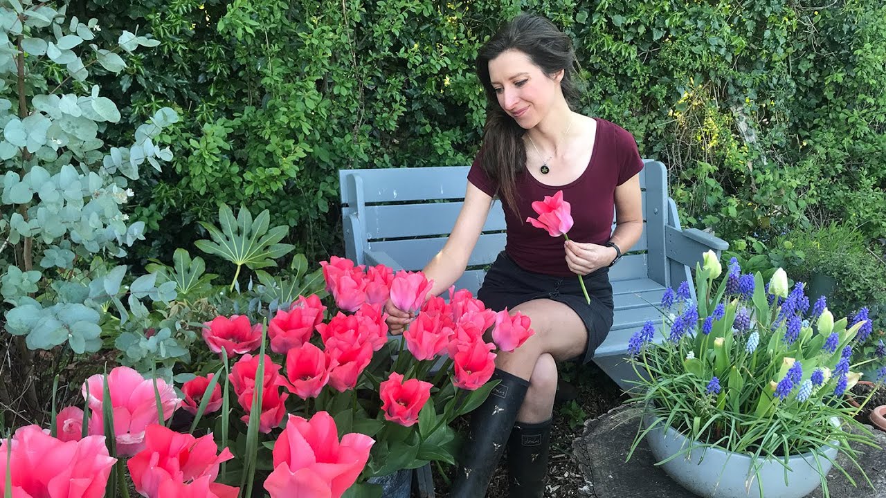 April Allotment Garden Tour 2020