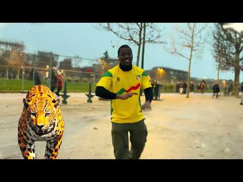 Sa Majesté Balogoun - GUÉPARD DU BÉNIN 🐆🇧🇯