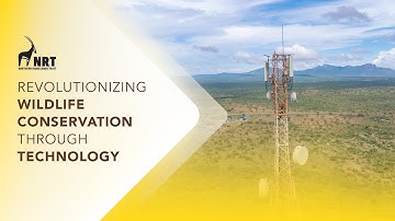 Revolutionizing Wildlife Conservation Through Technology