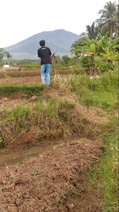 Spot Hunting Terindah ‼️ #shorts