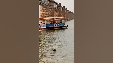 godavari bot | strings telugu videos | 🇮🇳